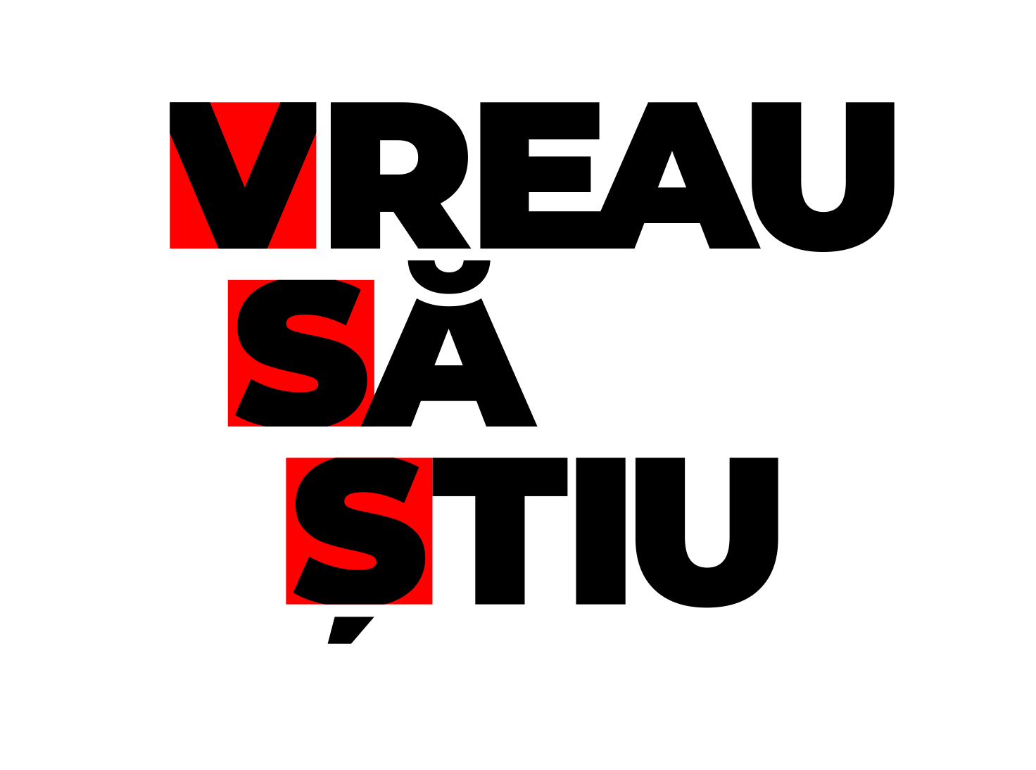 VSS BLACK logo (primary)